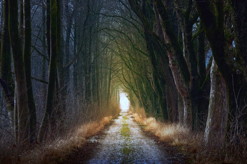 Nature Walk